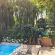 Wedding Garden - Photo #3